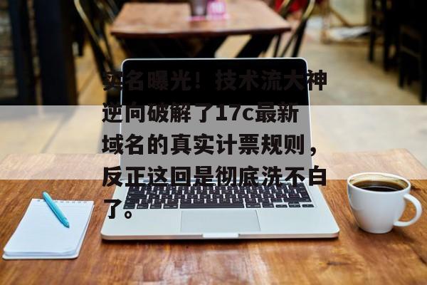 实名曝光！技术流大神逆向破解了17c最新域名的真实计票规则，反正这回是彻底洗不白了。